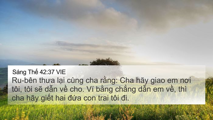 Sáng Thế 42:37 VIE 4K Wallpaper - Ru-bên thưa lại cùng cha rằng: Cha hãy - 4K Wallpaper Bible Verse