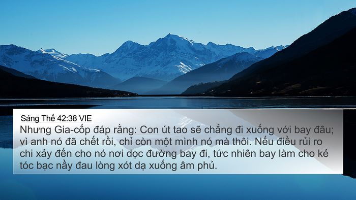 Sáng Thế 42:38 VIE Bible Verse Image