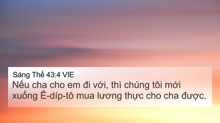 Sáng Thế 43:4 VIE Bible Verse Image