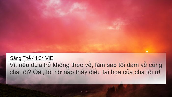 Sáng Thế 44:34 VIE Bible Verse Image