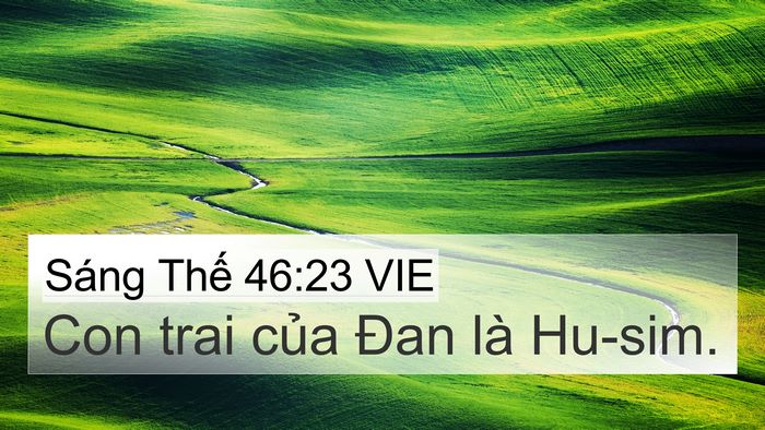 Sáng Thế 46:23 VIE Bible Verse Image