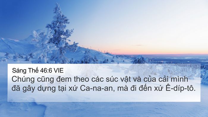 Sáng Thế 46:6 VIE Bible Verse Image