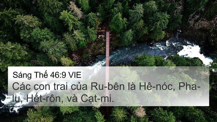 Sáng Thế 46:9 VIE Bible Verse Image