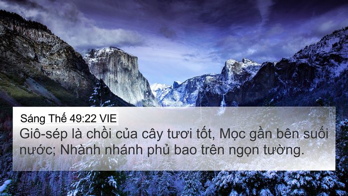 Sáng Thế 49:22 VIE Bible Verse Image