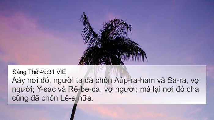 Sáng Thế 49:31 VIE Bible Verse Image