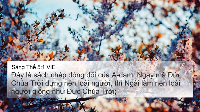 Sáng Thế 5:1 VIE Bible Verse Image