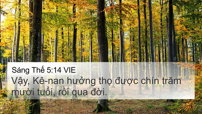 Sáng Thế 5:14 VIE 4K Wallpaper - Vậy, Kê-nan hưởng thọ được chín - 4K Wallpaper Bible Verse