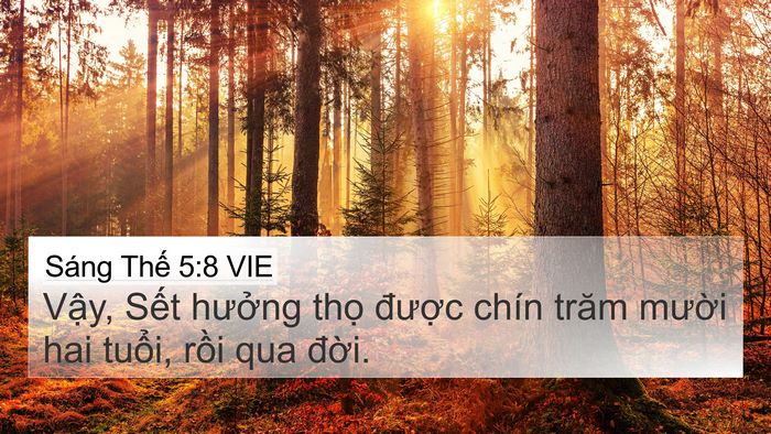 Sáng Thế 5:8 VIE Bible Verse Image