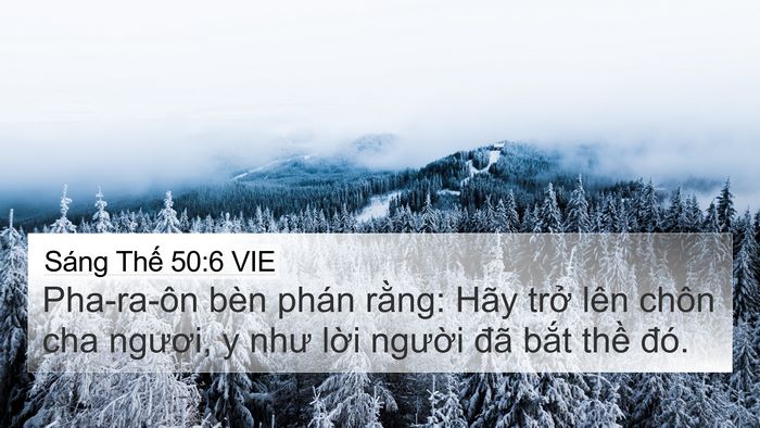 Sáng Thế 50:6 VIE 4K Wallpaper - Pha-ra-ôn bèn phán rằng: Hãy trở lên - 4K Wallpaper Bible Verse
