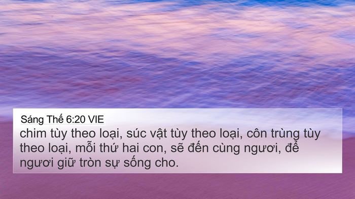 Sáng Thế 6:20 VIE Bible Verse Image