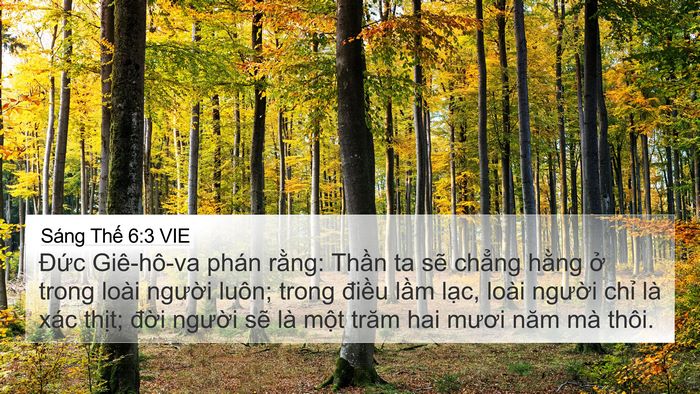 Sáng Thế 6:3 VIE Bible Verse Image