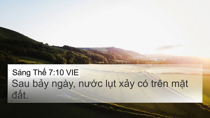 Sáng Thế 7:10 VIE 4K Wallpaper - Sau bảy ngày, nước lụt xảy có trên - 4K Wallpaper Bible Verse