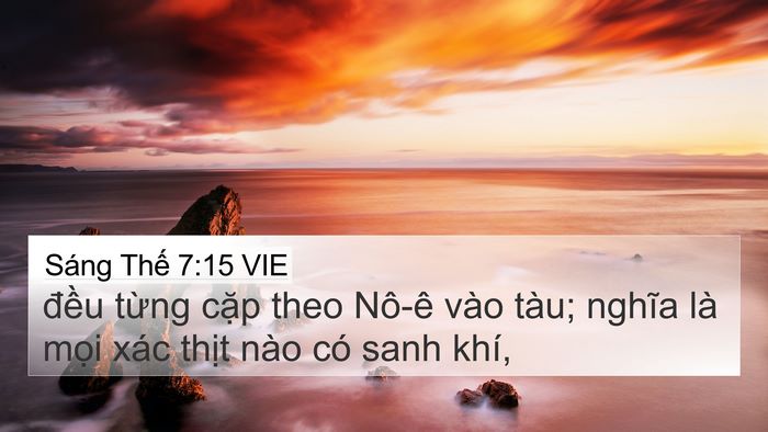 Sáng Thế 7:15 VIE 4K Wallpaper - đều từng cặp theo Nô-ê vào tàu; nghĩa - 4K Wallpaper Bible Verse