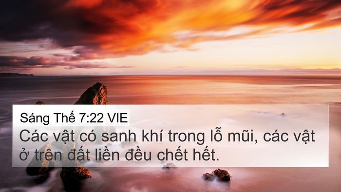 Sáng Thế 7:22 VIE 4K Wallpaper - Các vật có sanh khí trong lỗ mũi, các - 4K Wallpaper Bible Verse