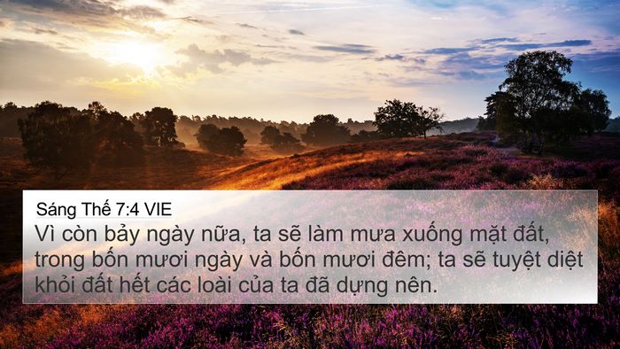 Sáng Thế 7:4 VIE Bible Verse Image