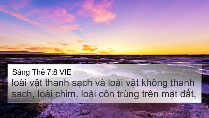 Sáng Thế 7:8 VIE 4K Wallpaper - loài vật thanh sạch và loài vật không - 4K Wallpaper Bible Verse