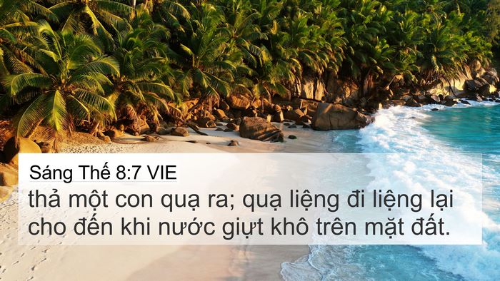 Sáng Thế 8:7 VIE Bible Verse Image