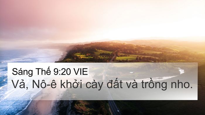 Sáng Thế 9:20 VIE Bible Verse Image
