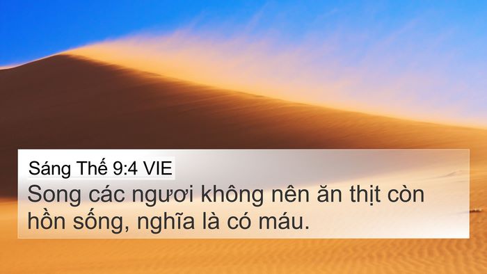 Sáng Thế 9:4 VIE Bible Verse Image
