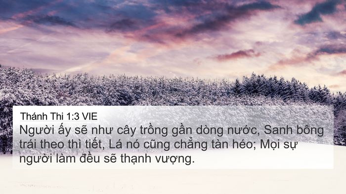 Thánh Thi 1:3 VIE Bible Verse Image