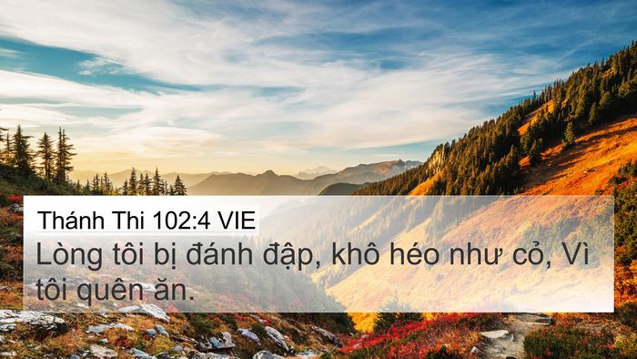 Thánh Thi 102:4 VIE Bible Verse Image