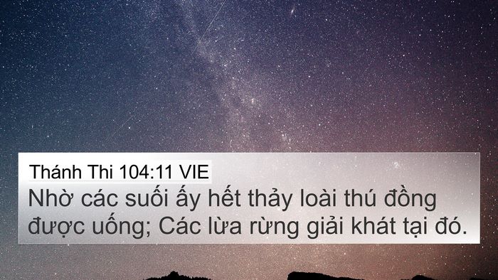 Thánh Thi 104:11 VIE Bible Verse Image