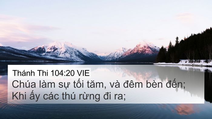 Thánh Thi 104:20 VIE Bible Verse Image