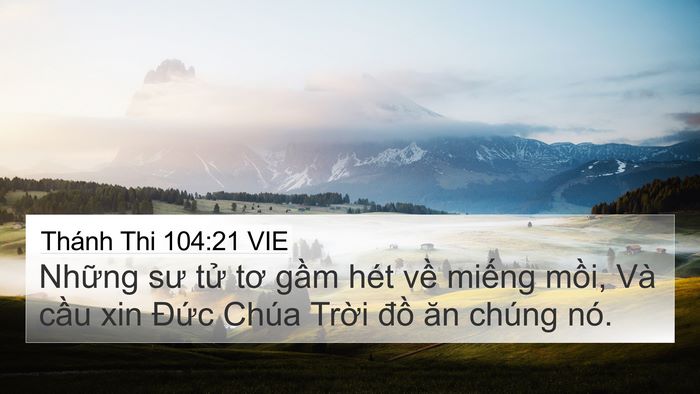 Thánh Thi 104:21 VIE Bible Verse Image