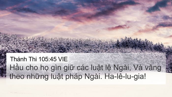 Thánh Thi 105:45 VIE Bible Verse Image