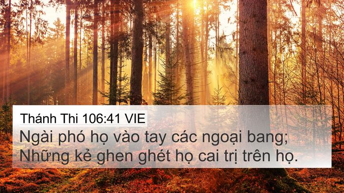 Thánh Thi 106:41 VIE Bible Verse Image