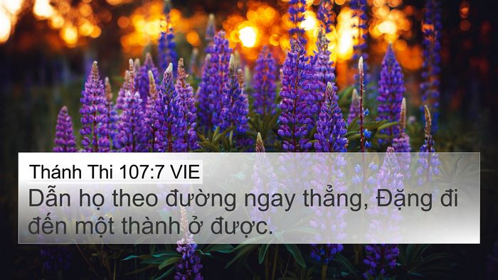 Thánh Thi 107:7 VIE Bible Verse Image