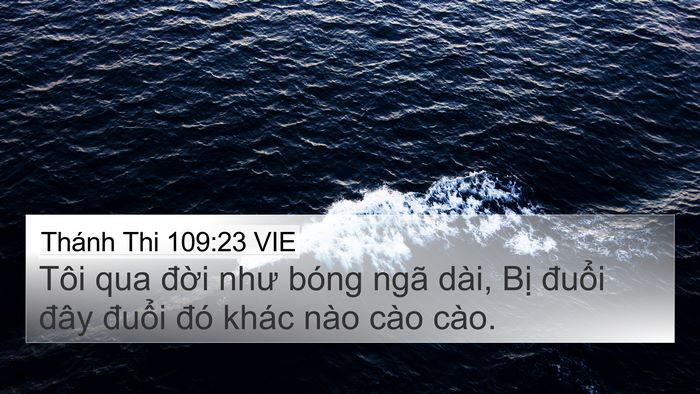 Thánh Thi 109:23 VIE Bible Verse Image