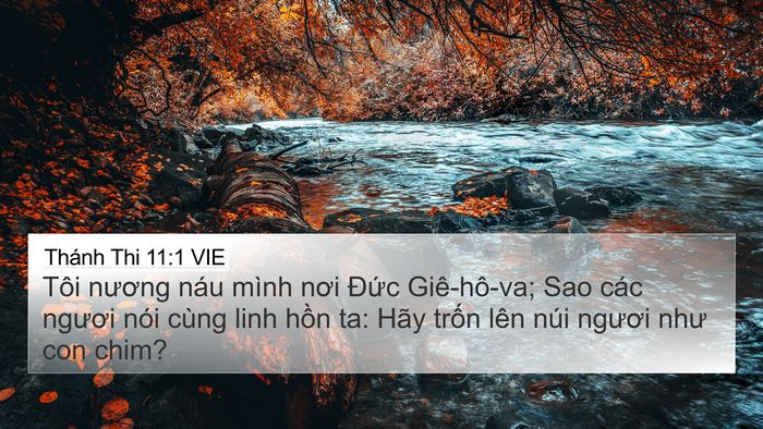 Thánh Thi 11:1 VIE Bible Verse Image