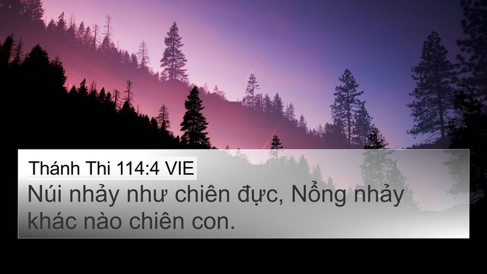 Thánh Thi 114:4 VIE Bible Verse Image