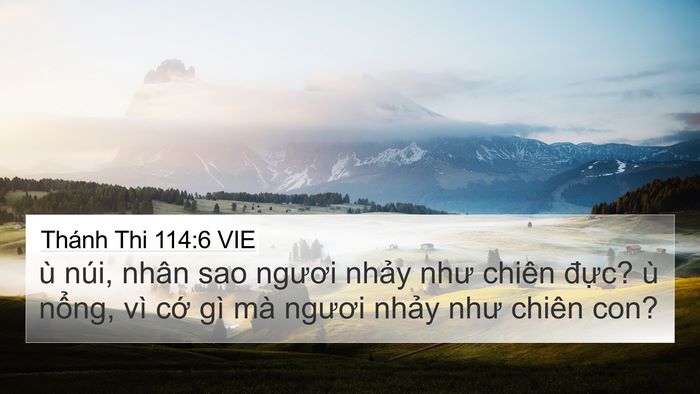 Thánh Thi 114:6 VIE 4K Wallpaper - ù núi, nhân sao ngươi nhảy như chiên - 4K Wallpaper Bible Verse