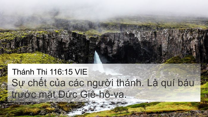 Thánh Thi 116:15 VIE Bible Verse Image