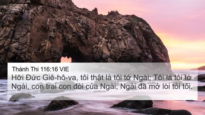 Thánh Thi 116:16 VIE Bible Verse Image