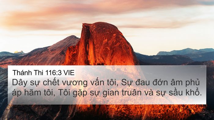 Thánh Thi 116:3 VIE Bible Verse Image