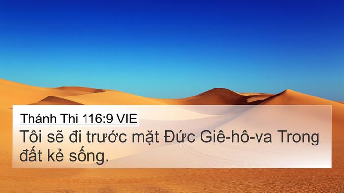 Thánh Thi 116:9 VIE Bible Verse Image