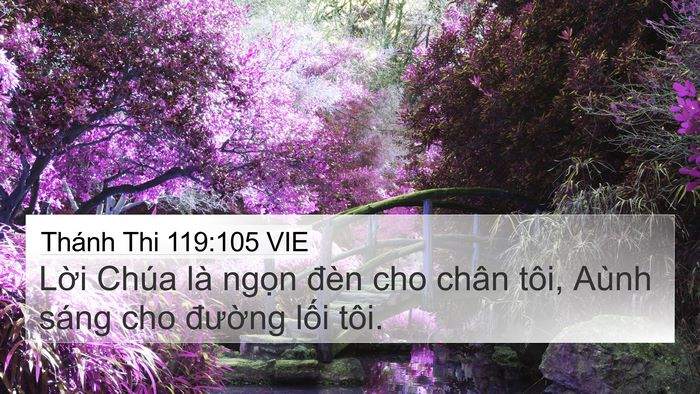 Thánh Thi 119:105 VIE Bible Verse Image