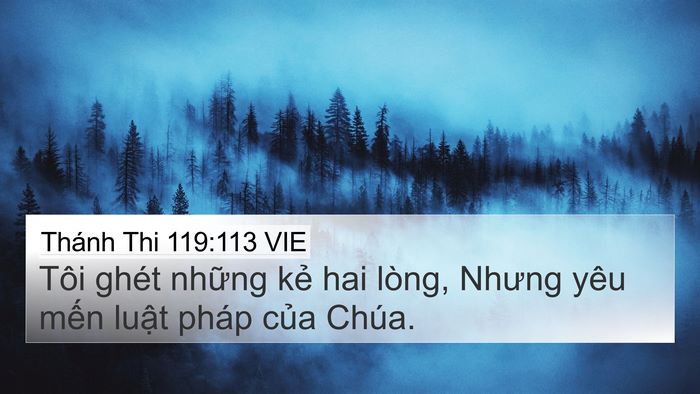 Thánh Thi 119:113 VIE Bible Verse Image