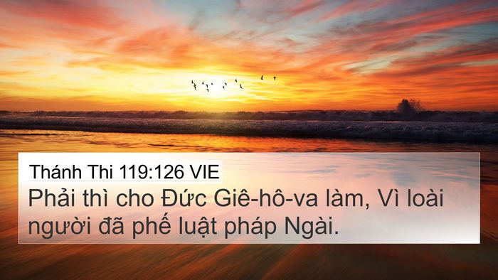 Thánh Thi 119:126 VIE Bible Verse Image