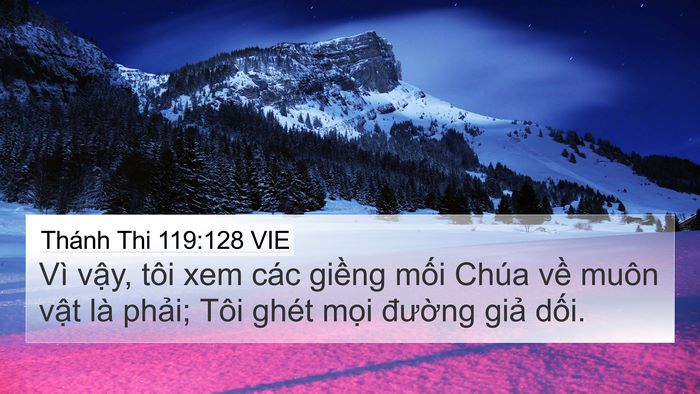 Thánh Thi 119:128 VIE Bible Verse Image