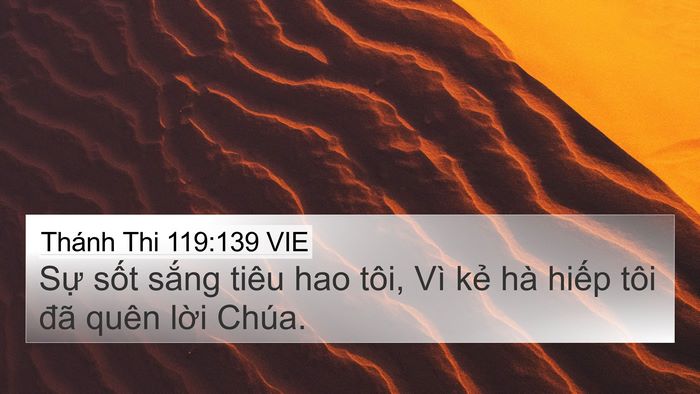 Thánh Thi 119:139 VIE Bible Verse Image