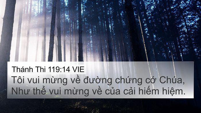 Thánh Thi 119:14 VIE Bible Verse Image