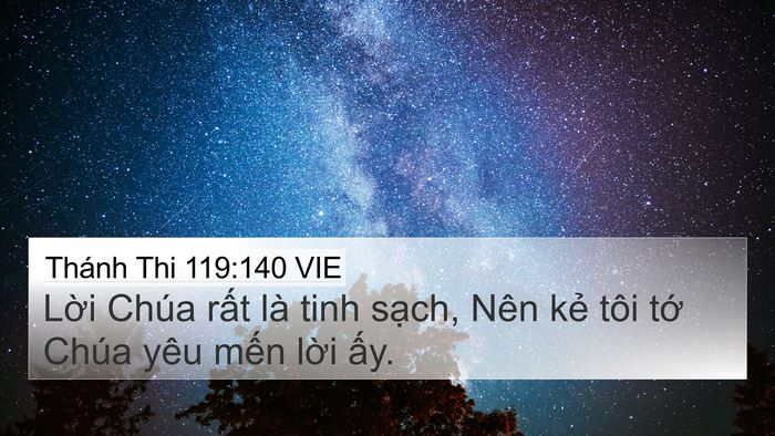 Thánh Thi 119:140 VIE Bible Verse Image