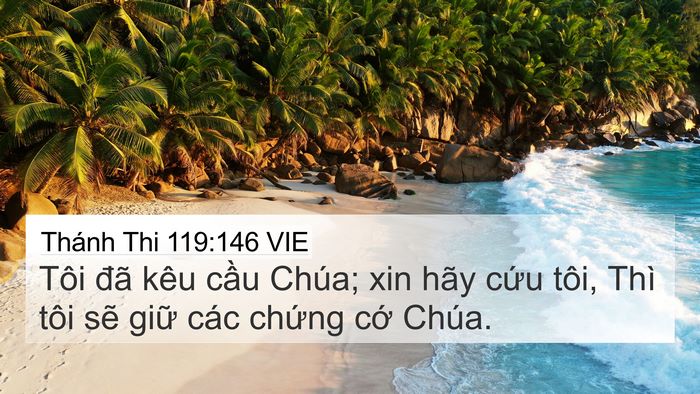 Thánh Thi 119:146 VIE Bible Verse Image
