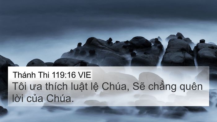 Thánh Thi 119:16 VIE Bible Verse Image