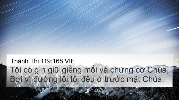 Thánh Thi 119:168 VIE Bible Verse Image