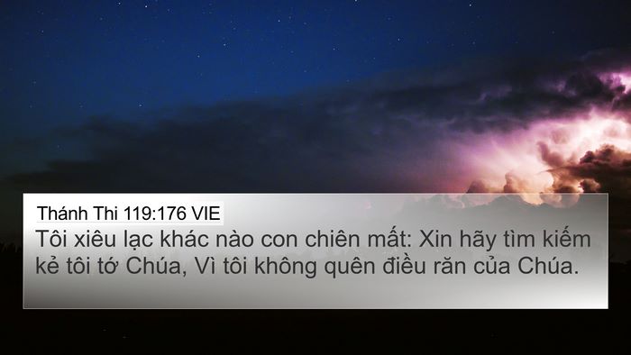 Thánh Thi 119:176 VIE Bible Verse Image